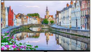 Vestel Lite Series 43" Signage Solution – LB43G-2