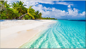 Vestel RNB Series 55" IPS LCD Video Walls – WY55B/2H