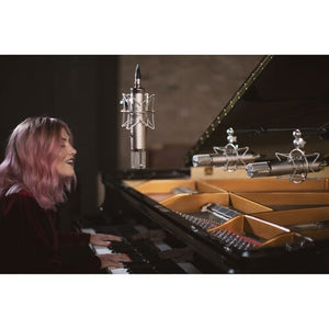 Warm Audio WA-CX12 Large-Diaphragm Tube Condenser Microphone