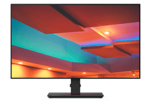 Lenovo ThinkVision P27q-20 27" 16:9 QHD Monitor