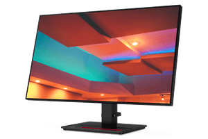 Lenovo ThinkVision P27q-20 27" 16:9 QHD Monitor