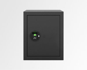 Godrej NX Pro Biometric 40L