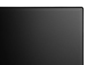 NEC MultiSync E243F 24" Enterprise LCD Display - Black