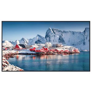 Panasonic 43-inch Class 4K UHD LCD Display – TH-43SQE2