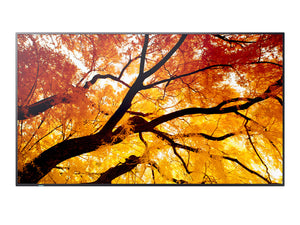 Sharp MultiSync® LCD 55" Message Large Format Display – M552