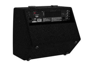 Laney A1 Plus 65W 10" XLR Acoustic Combo Amplifier