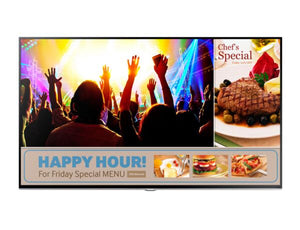 Samsung Professional Display RMD Series 48” LH48RMDWLGU/UE