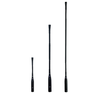 AKG GN30E 12" Gooseneck Microphone with XLR for Discreet Acoustics Modular Capsules