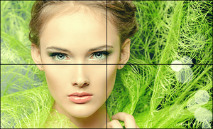 BenQ 55" Video Wall Display – PL552