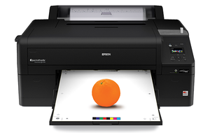 Epson SureColor SC-P5000 STD Large Format Printer