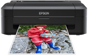 Epson Printer EXPRESSION HOME XP-33