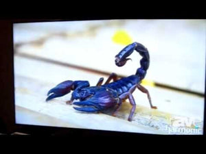 SHARP 80" Class 4K UHD Commercial TFT LCD Monitor PN-H801