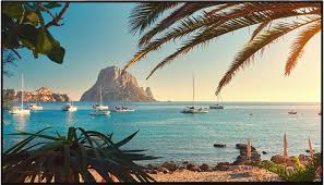 Vestel VB Series 55" Signage Solution – VB55B-IN