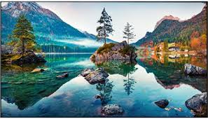 Vestel XN | XE P2 Series 75" ST Signage Solution – XN75D-4HH2