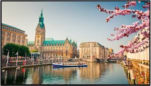 Vestel PN Series 43" Signage Solution – PN43B-IN