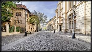 Vestel XD | XF P2 Series 98" Signage Solution – XF98D-4H2