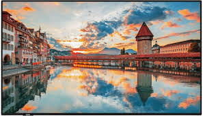 Vestel PN P2 Series 50" Signage Solution – PN50D-4H2