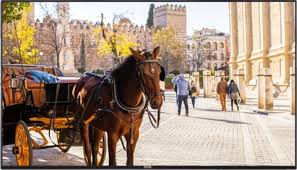 Vestel VB Series 43" Signage Solution – VB43B-IN