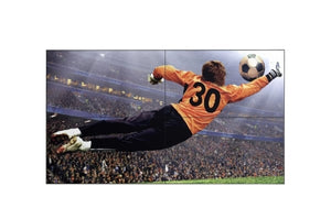 LG 49" Video Wall Display – 49VL5F-A