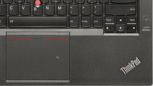 Lenovo ThinkPad T440p 20AN00B6AD 14.0" (Core i7, 500GB, 4GB, Win 8.1 Pro)