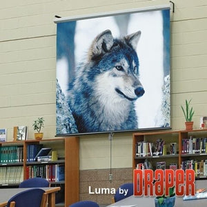 Draper Luma 64" x 83½" 100" Diagonal 4:3 Manual Projector Screen