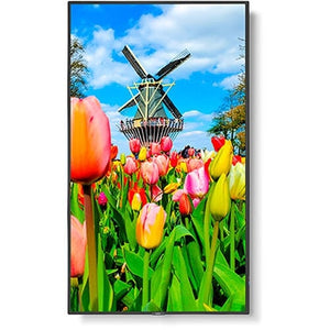 NEC MultiSync ME501 50" Class HDR 4K UHD Commercial LED Display