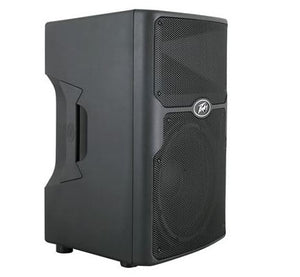 Peavey PVX-12 12 Passive Loudspeaker