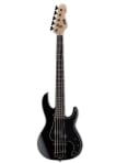 ESP LTD-AP Series 5-String Bass, Black Finish Guitar