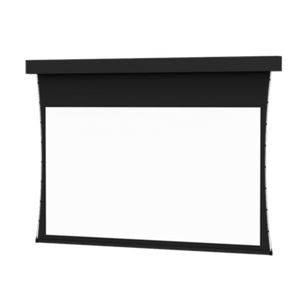 Da-Lite 35256 Professional Electrol 270" Tensioned Projection Screen